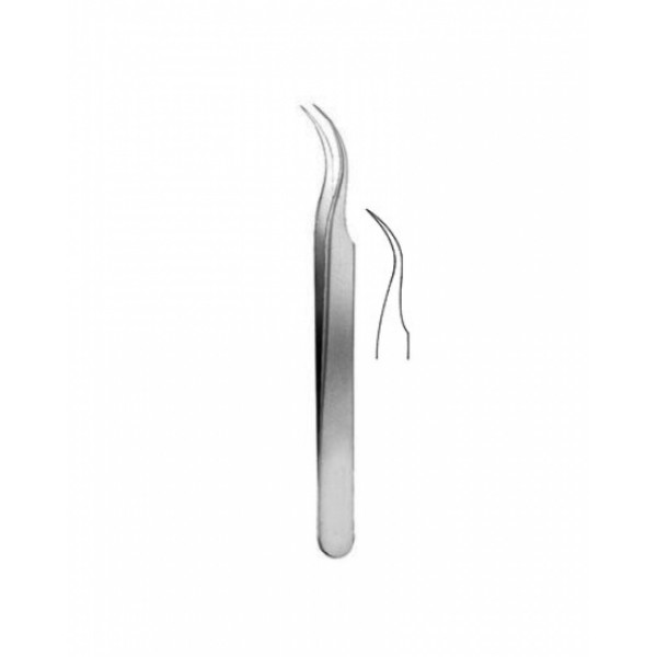 Forceps